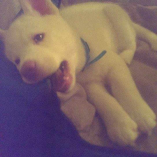 Zeus is registered to the contest to win money with this photo:
