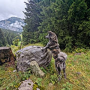 Yumi participe au concours pour gagner de l'argent avec cette photo : animal, brindle, bushes, canine, cloudy_sky, dog, forest, grass, hiking, landscape, moss, mountain, nature, outdoor, rock, scenery, tree_stump, trees, wilderness, wildlife
