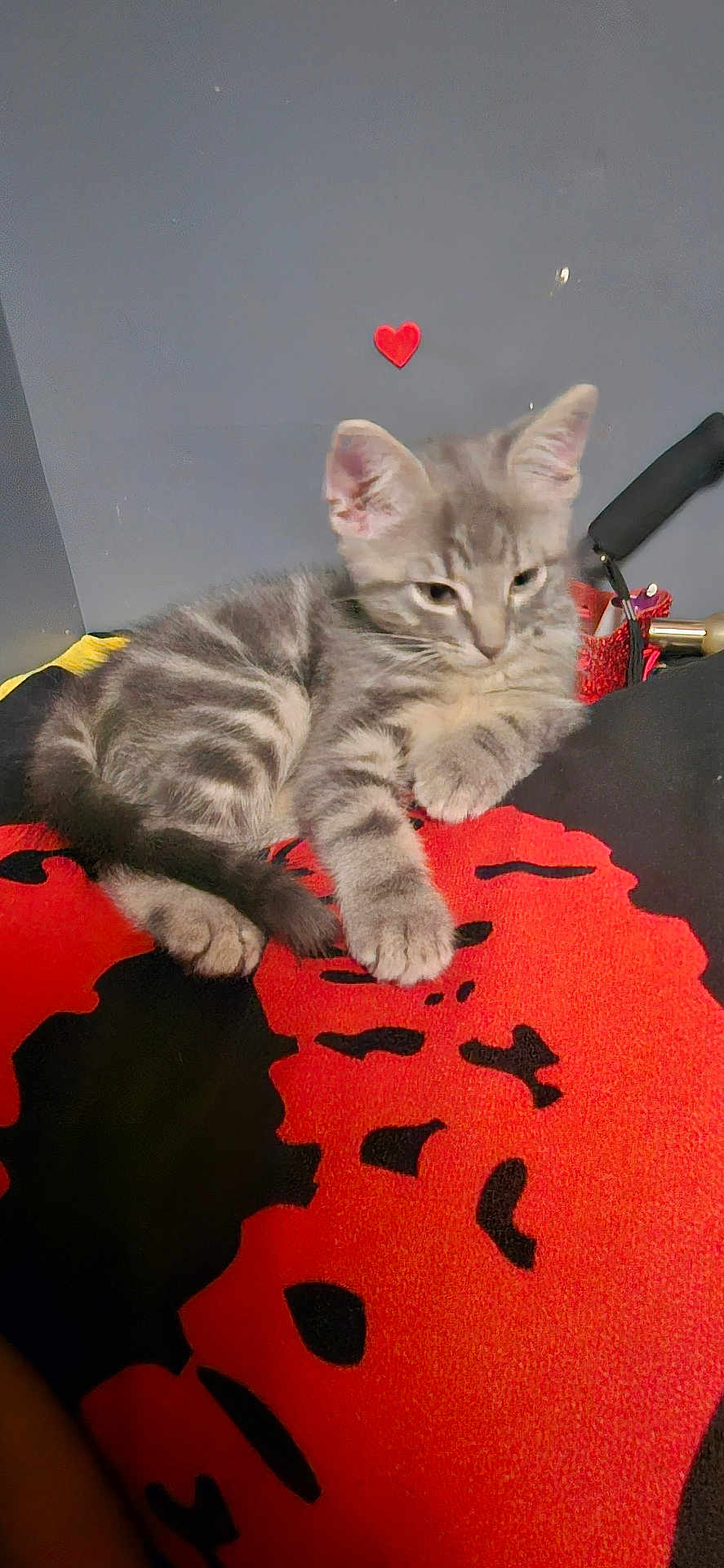 Nala