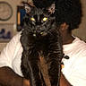 black_cat, cat, pet, animal, indoor, person, holding, fur, yellow_eyes, portrait, closeup, face, whiskers, blurred_background, white_shirt, afro_hair, domestic_cat, looking_at_camera, hands, feline