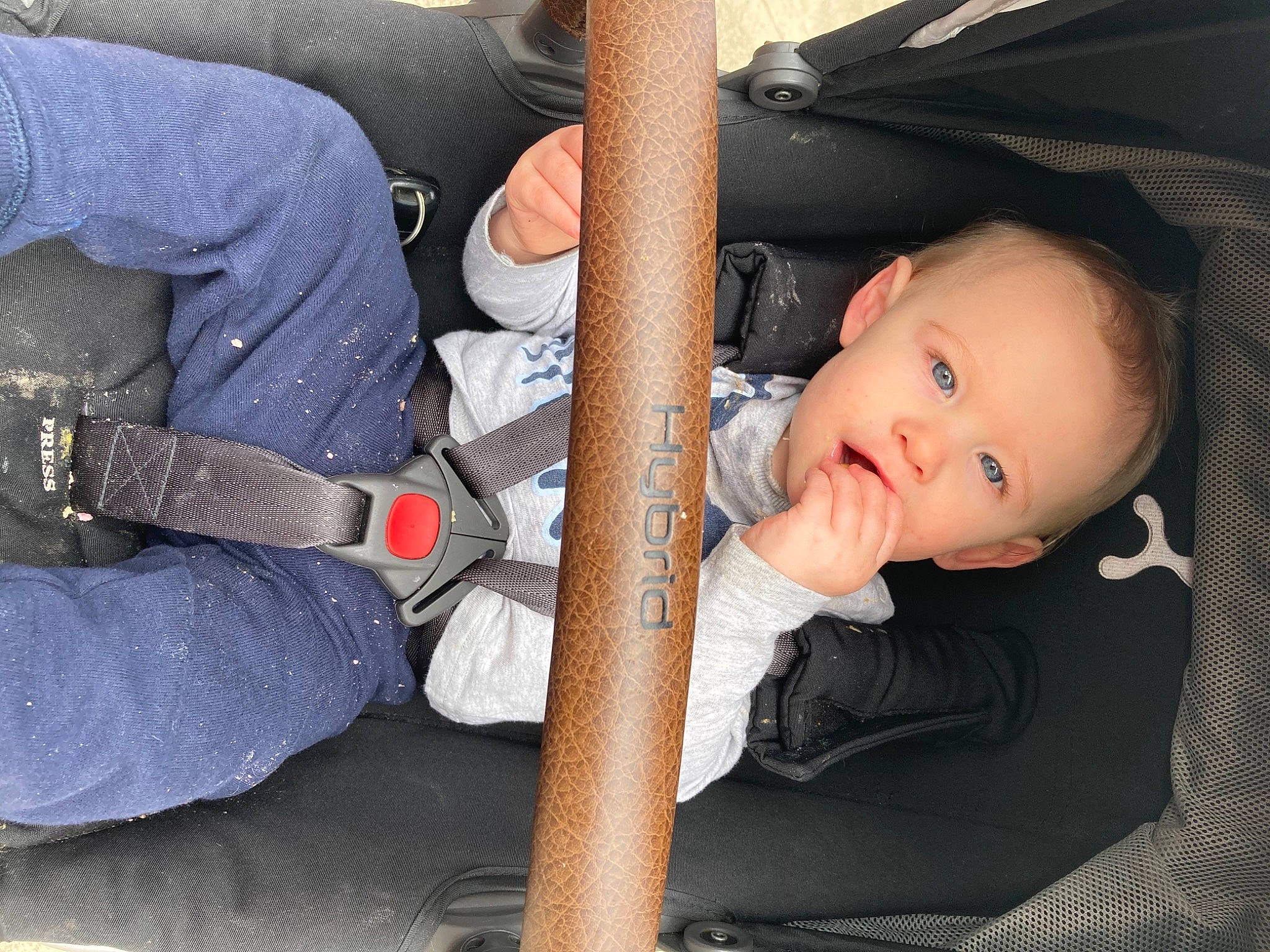 Lucas joined the competition — help win amazing prizes! auto_part, baby, baby_products, car_seat, child, eye, family_car, hand, leg, person, product, seat_belt, toddler, vacation