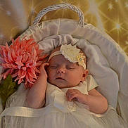 Caitlyn-louise joined the competition — help win amazing prizes!