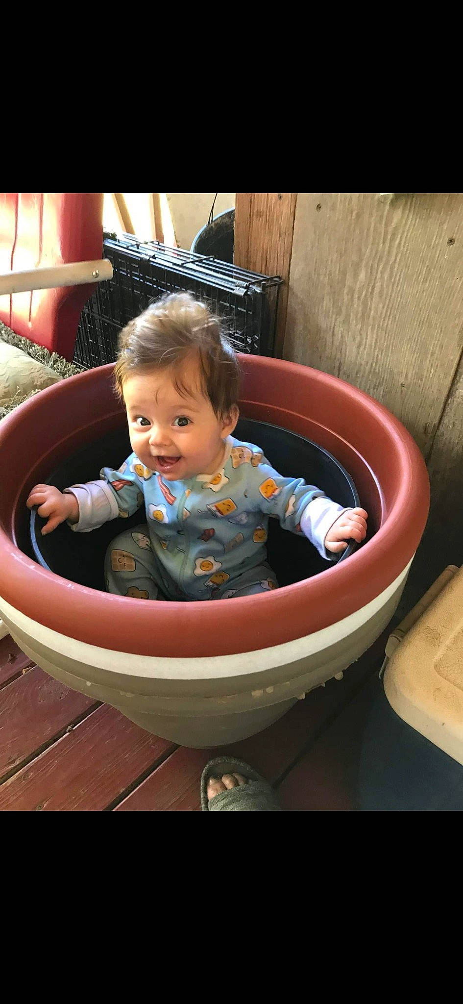 Paisley joined the competition — help win amazing prizes! baby, baby_products, baby_safety, baby_toddler_clothing, beauty, child, circle, comfort, fun, happy, leisure, oval, person, product, sitting, smile, toddler