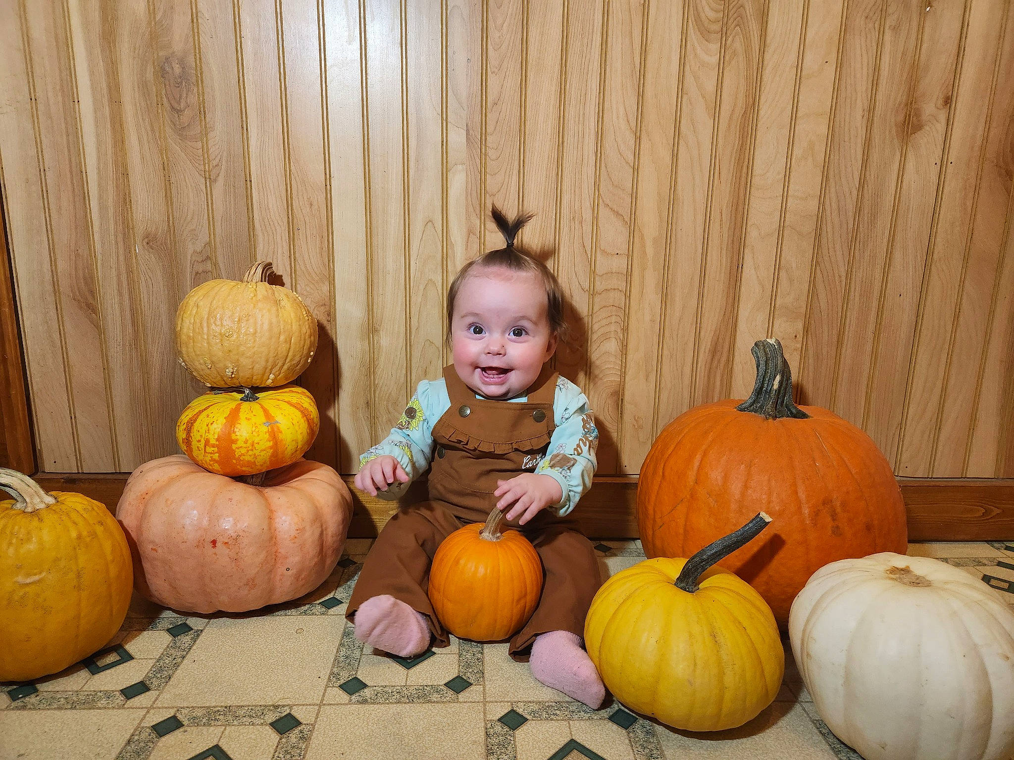Paisley is registered to the contest to win money with this photo: calabaza, clothing, cucurbita, eye, fruit, gourd, happy, head, human_body, iris, joy, leaf, natural_foods, orange, person, plant, pumpkin, squash, vegetable, whole_food