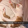 kitten, cat, sleeping, bed, white_bedspread, paw, human_hand, orange_and_white, cute, pet, indoor, resting, fur, animal, domestic_animal, cozy, soft, relaxed, young_cat, nap