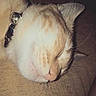 Crixus participe au concours pour gagner de l'argent avec cette photo :