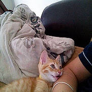 Crixus participe au concours pour gagner de l'argent avec cette photo :