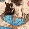 kitten, cat, black_and_white, fluffy, bedspread, butterfly, blue, lying_down, cute, pet, animal, fur, whiskers, ears, eyes, indoor, resting, young, small, curious