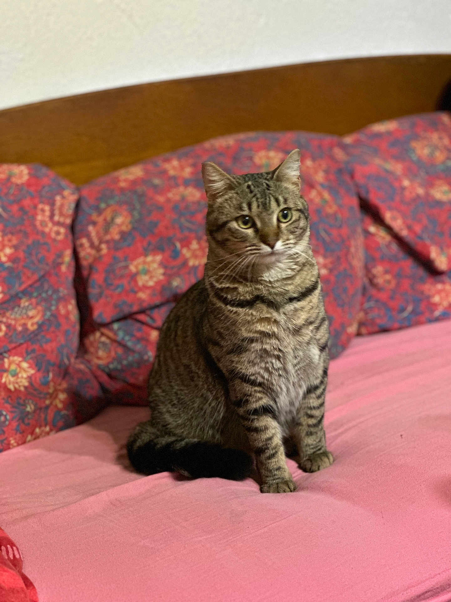 Chloé