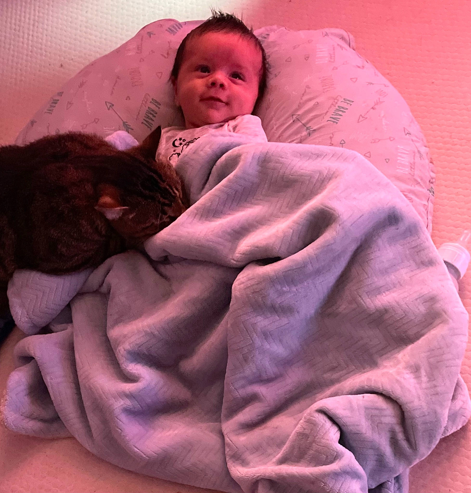 Gabriel is registered to the contest to win money with this photo: baby, baby_sleeping, baby_toddler_clothing, bed, bedding, bedtime, cheek, child, comfort, head, infant_bed, linens, magenta, person, pink, purple, room, skin, sleeve, textile