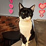 animal, armrest, black_and_white, brick_wall, cat, couch, cozy, curious, cute, domestic_animal, feline, heart_decorations, indoor, living_room, looking, pet, sitting, soft_furniture, tuxedo_cat, whiskers