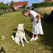 Uno a rejoint le concours — aidez-le/la à gagner de superbes lots ! backyard, blue_sky, braided_hair, clouds, dog, earrings, fence, grass, greenery, house, interaction, outdoor, pet, shadow, shoes, smiling, sunny, white_dog, white_dress, woman