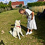 backyard, blue_sky, braided_hair, clouds, dog, earrings, fence, grass, greenery, house, interaction, outdoor, pet, shadow, shoes, smiling, sunny, white_dog, white_dress, woman