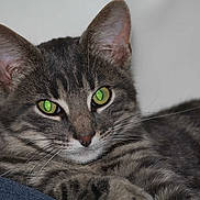 Jupiter a rejoint le concours — aidez-le/la à gagner de superbes lots !