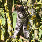 Jupiter a rejoint le concours — aidez-le/la à gagner de superbes lots !