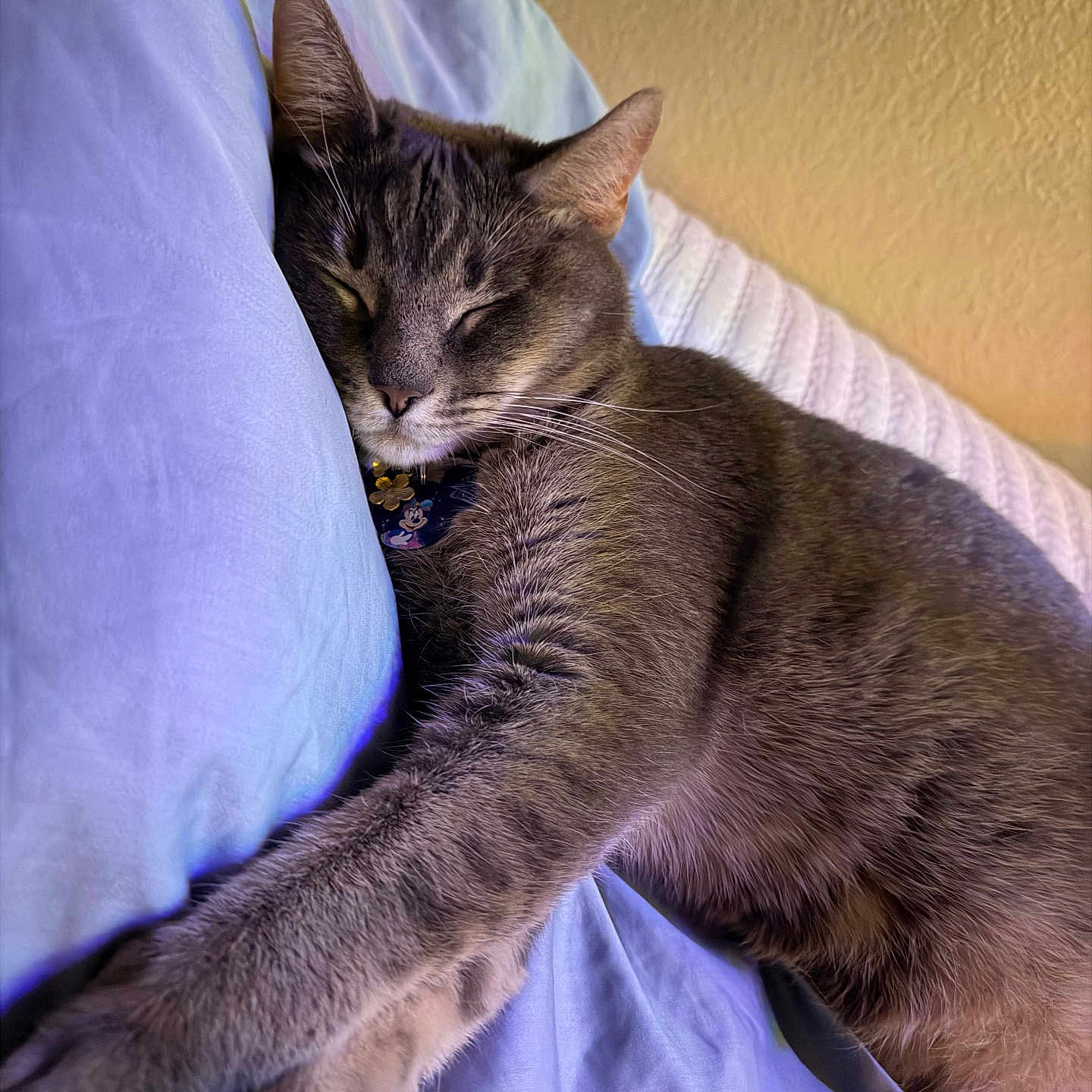 Mia