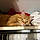 Leroy