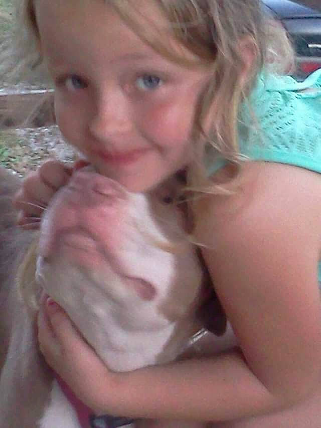 Lexi is registered to the contest to win money with this photo: blond, cheek, child, fawn, hair, joy, mouth, nose, person, skin, smile, sporting_group, toddler