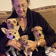 Skippertedkitkat joined the competition — help win amazing prizes! animal, blanket, casual_clothing, couch, dog, elderly, eyebrows_drawn, glasses, holding, home, human, indoor, multiple_dogs, pet, portrait, puppy, relaxed, seated, sofa, woman