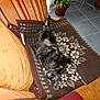 Mimi participe au concours pour gagner de l'argent avec cette photo :