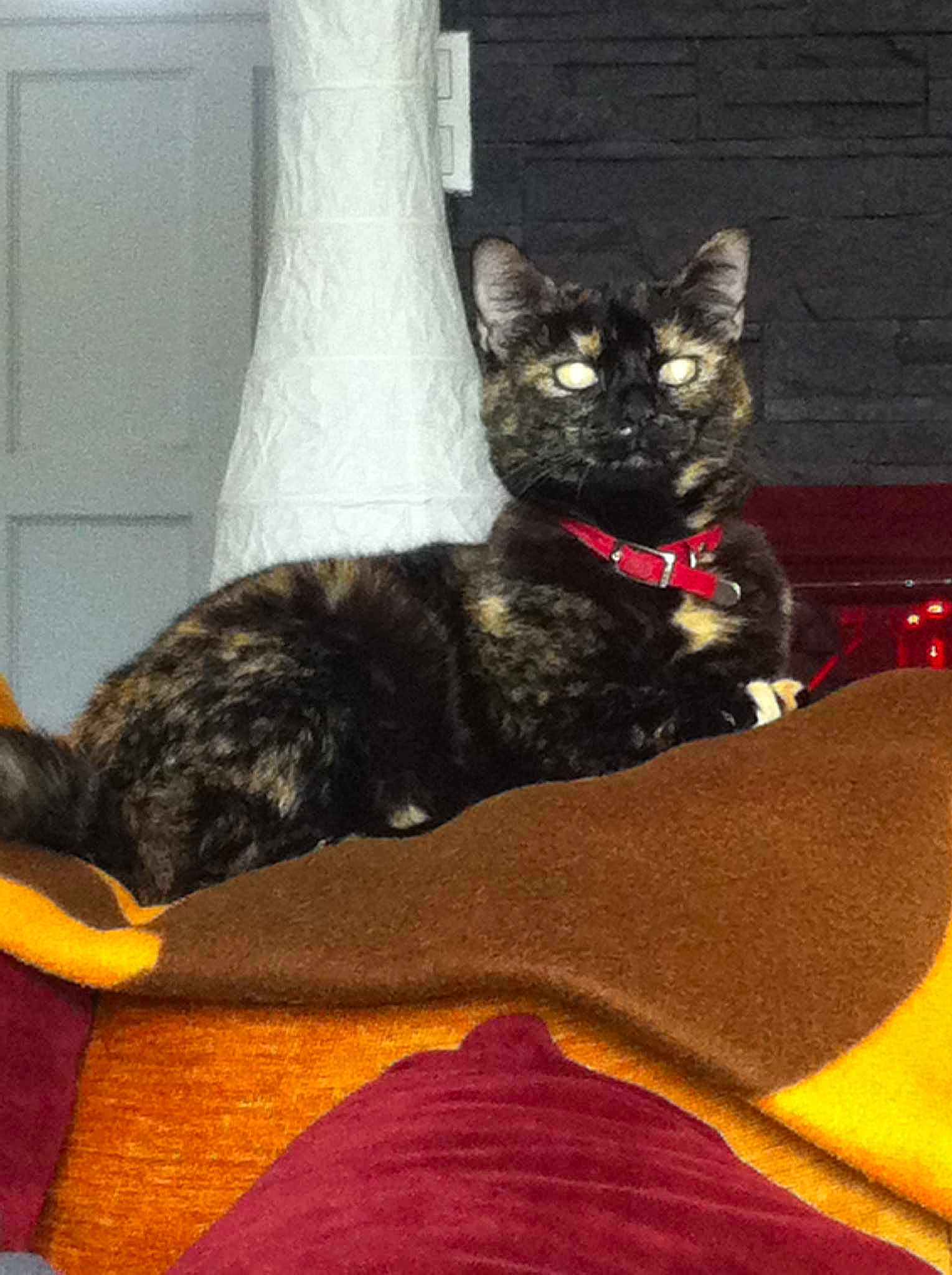 Mimi