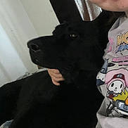 Tago joined the competition — help win amazing prizes! bed, black_dog, blanket, cartoon_print, casual, close_up, companion, cozy, dog, domestic, face, hand, indoor, person, pet, portrait, relaxing, shirt, smiling, snuggling