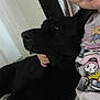 bed, black_dog, blanket, cartoon_print, casual, close_up, companion, cozy, dog, domestic, face, hand, indoor, person, pet, portrait, relaxing, shirt, smiling, snuggling
