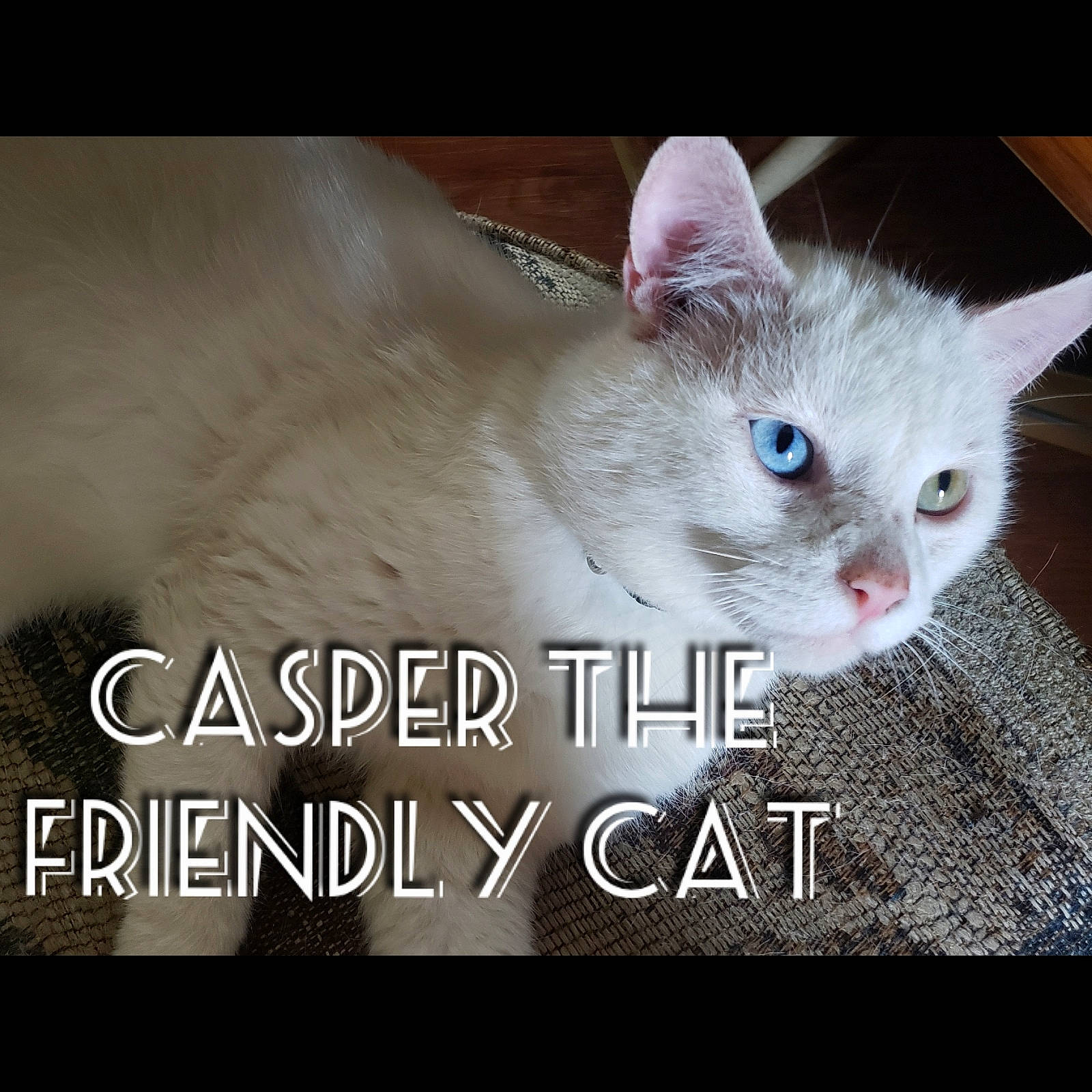 Casper