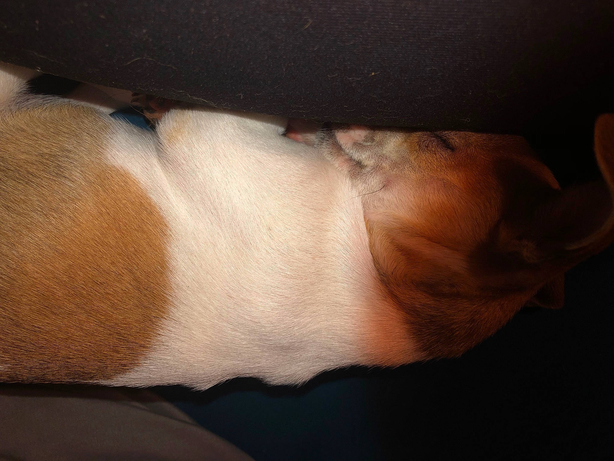 Mooey is registered to the contest to win money with this photo: abdomen, arm, chest, cloud, comfort, elbow, eyebrow, gesture, hair, hand, head, human_body, jaw, knee, leg, neck, thigh, trunk, wood, wrist