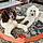 Brenton Miss Gracie