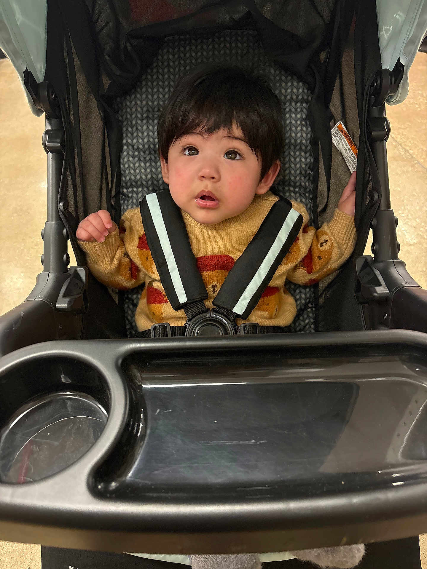 Rameses is registered to the contest to win money with this photo: toddler, child, stroller, sweater, bear_pattern, curious_expression, seatbelt, indoor, tray, cup_holder, black_hair, sitting, baby, clothing, person, young_child, face, looking_up, cozy, casual