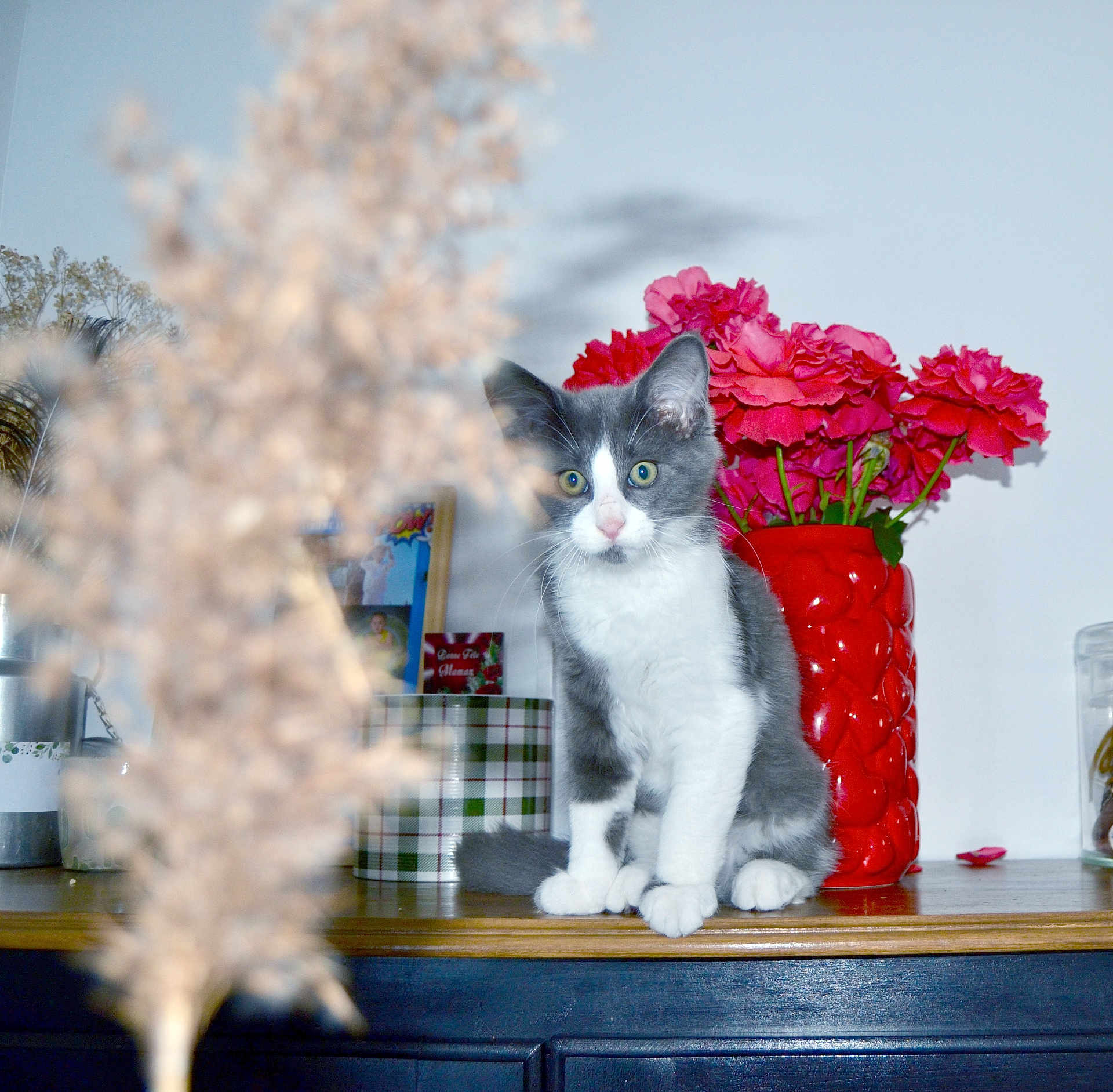 Chat