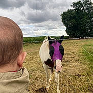 Jade a rejoint le concours — aidez-le/la à gagner de superbes lots ! animal, back_of_head, brown_patch, child, cloudy_sky, curious, ear, fence, field, grass, head, horse, mask, nature, outdoor, pasture, purple_mask, toddler, tree, wire_fence