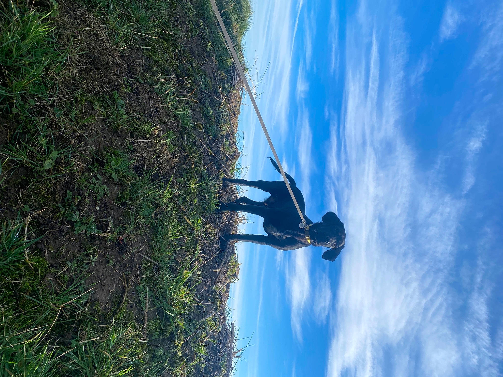 Rocky participe au concours pour gagner de l'argent avec cette photo : adventure, cloud, electric_blue, extreme_sport, fun, landscape, leisure, plant, recreation, reflection, rope, sky, slope, sport_climbing, sports, tree, wind