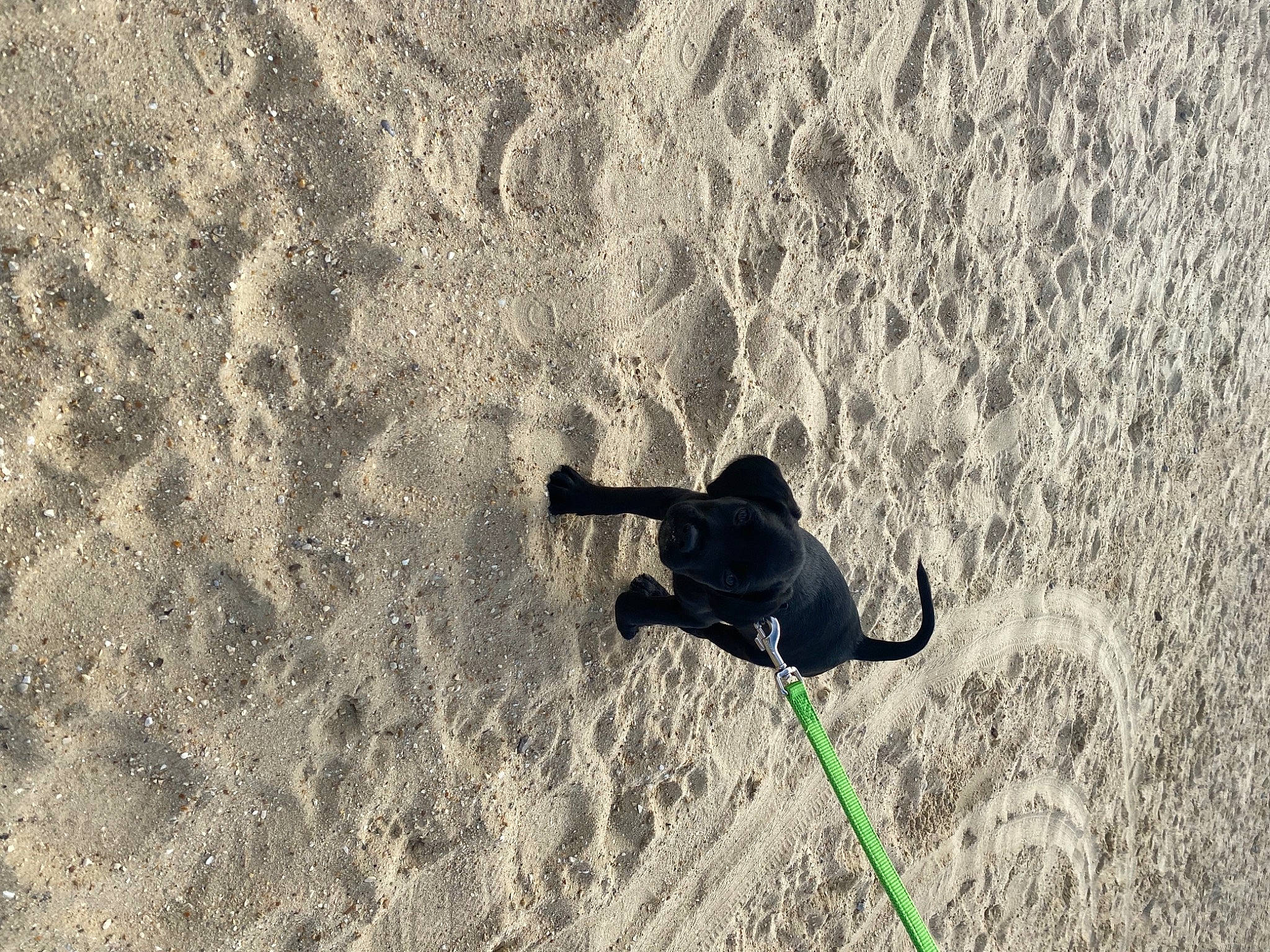 Rocky a rejoint le concours — aidez-le/la à gagner de superbes lots ! adventure, beach, extreme_sport, fun, geological_phenomenon, grass, landscape, leisure, people_in_nature, recreation, shadow, slope, soil, sport_climbing, sports, sports_equipment, wave, wind_wave, winter_sport, wood