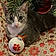 Lily Ann