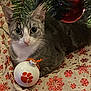 cat, tabby_cat, christmas_tree, ornament, bauble, holiday, decorations, snowflake_pattern, tree_skirt, festive, indoor, pet, cute, animal, feline, eyes, whiskers, fur, relaxed, curious