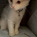 Lilou R.