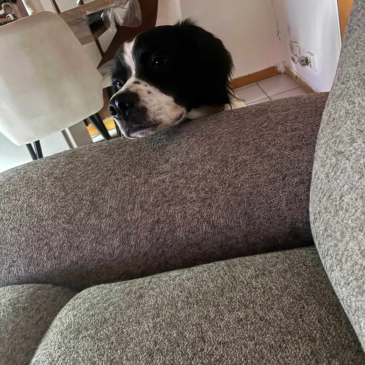 Marley
