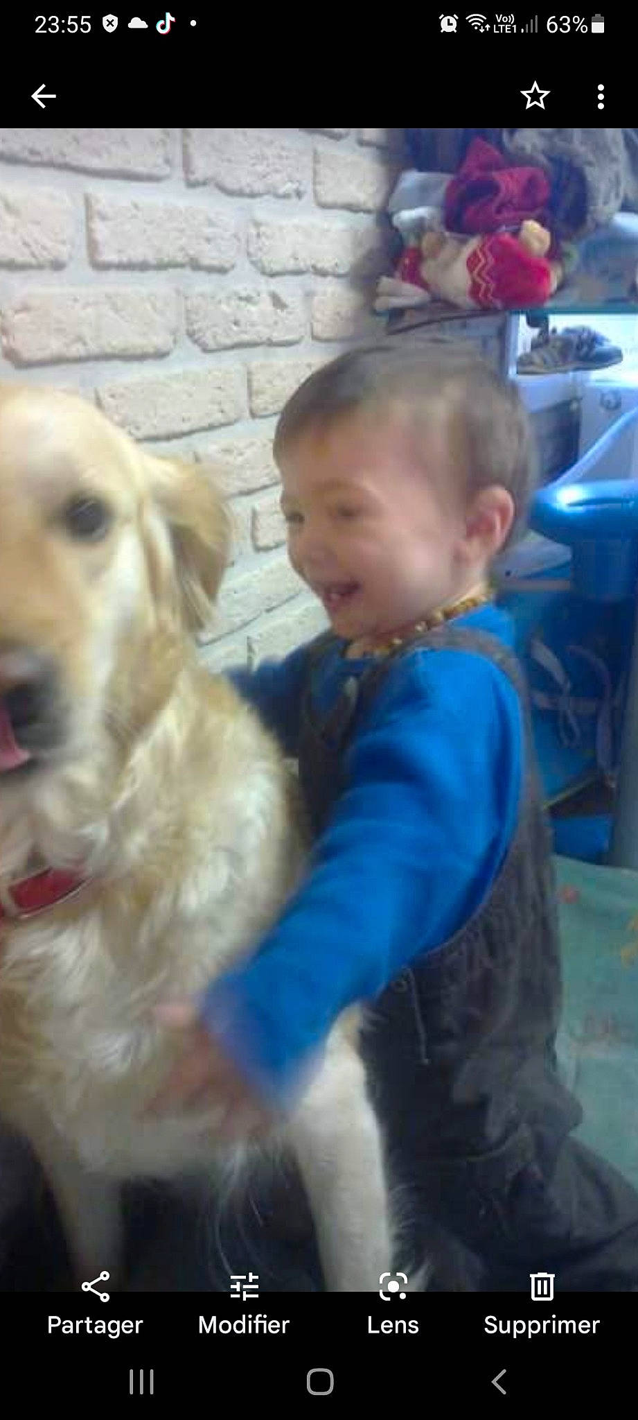 Daika participe au concours pour gagner de l'argent avec cette photo : carnivore, child, companion_dog, dog, dog_breed, electric_blue, event, fawn, fun, fur, golden_retriever, happy, head, retriever, skin, smile, sporting_group, toddler, vacation, working_animal