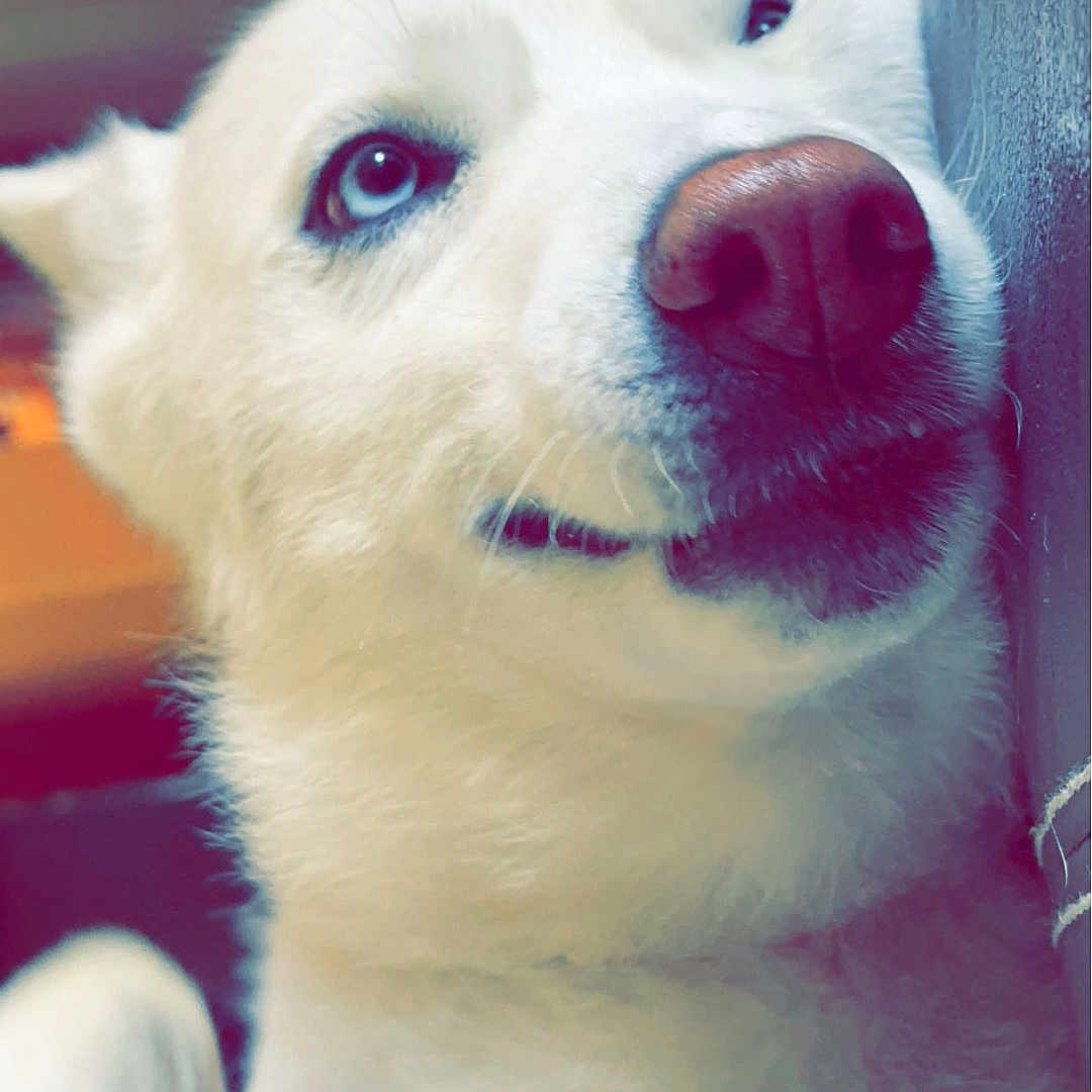Aspen
