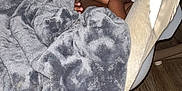 Tymaree Johnson is registered to the contest to win money with this photo: baby, sleeping, blanket, baby_seat, indoor, cozy, resting, child, infant, soft_texture, wood_floor, peaceful, cute, comfort, head, face, hand, closed_eyes, toddler, home