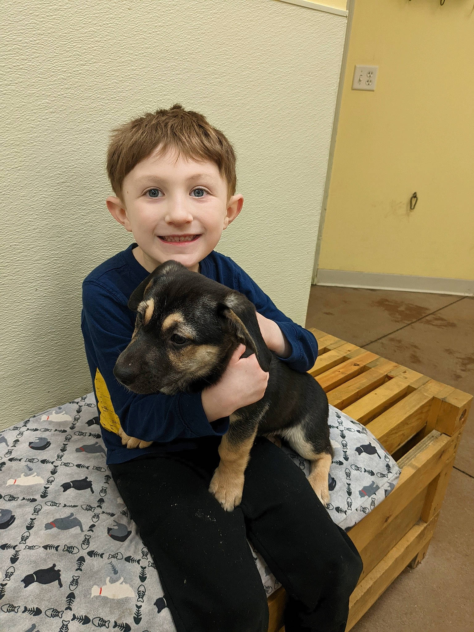 Thomas joined the competition — help win amazing prizes! canidae, carnivore, child, comfort, companion_dog, dog, dog_breed, door, fawn, felidae, fur, happy, joy, person, sitting, sleeve, small_to_medium_sized_cats, smile, sporting_group, toddler