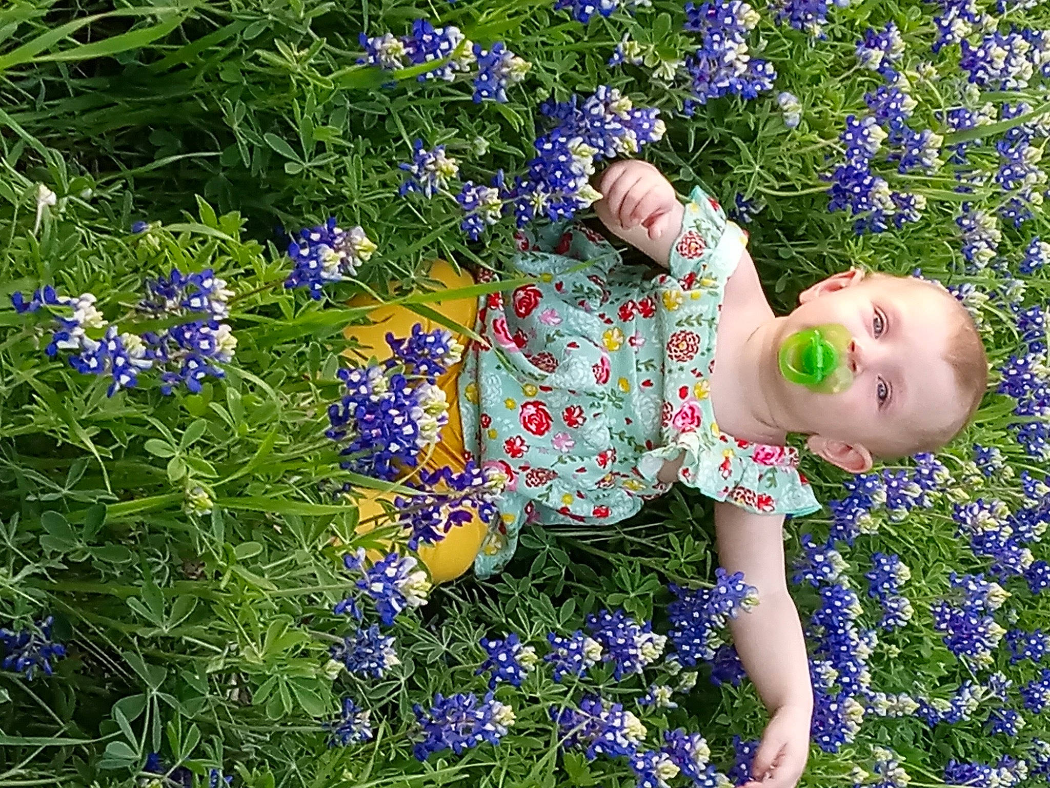 Dakota joined the competition — help win amazing prizes! annual_plant, blue, botany, electric_blue, flower, flowering_plant, grass, green, groundcover, happy, meadow, pattern, people_in_nature, person, petal, plant, prairie, purple, shrub, smile