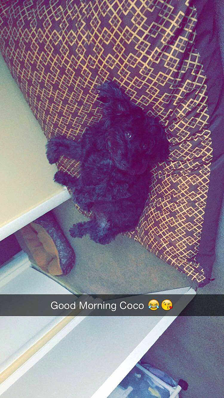Coco