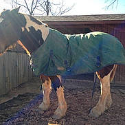 Fred is registered to the contest to win money with this photo: