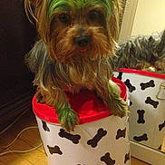 Chasz is registered to the contest to win money with this photo: