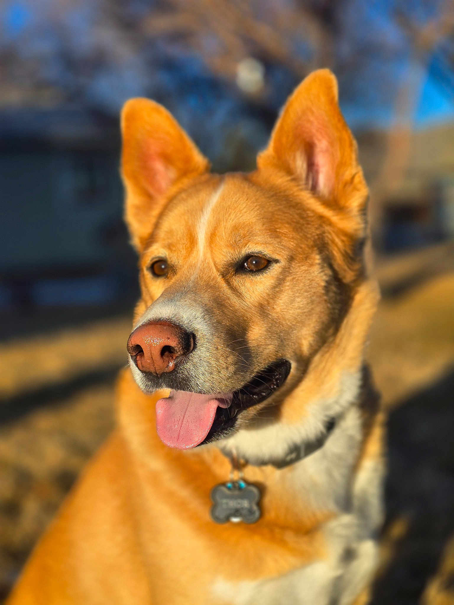 Thor