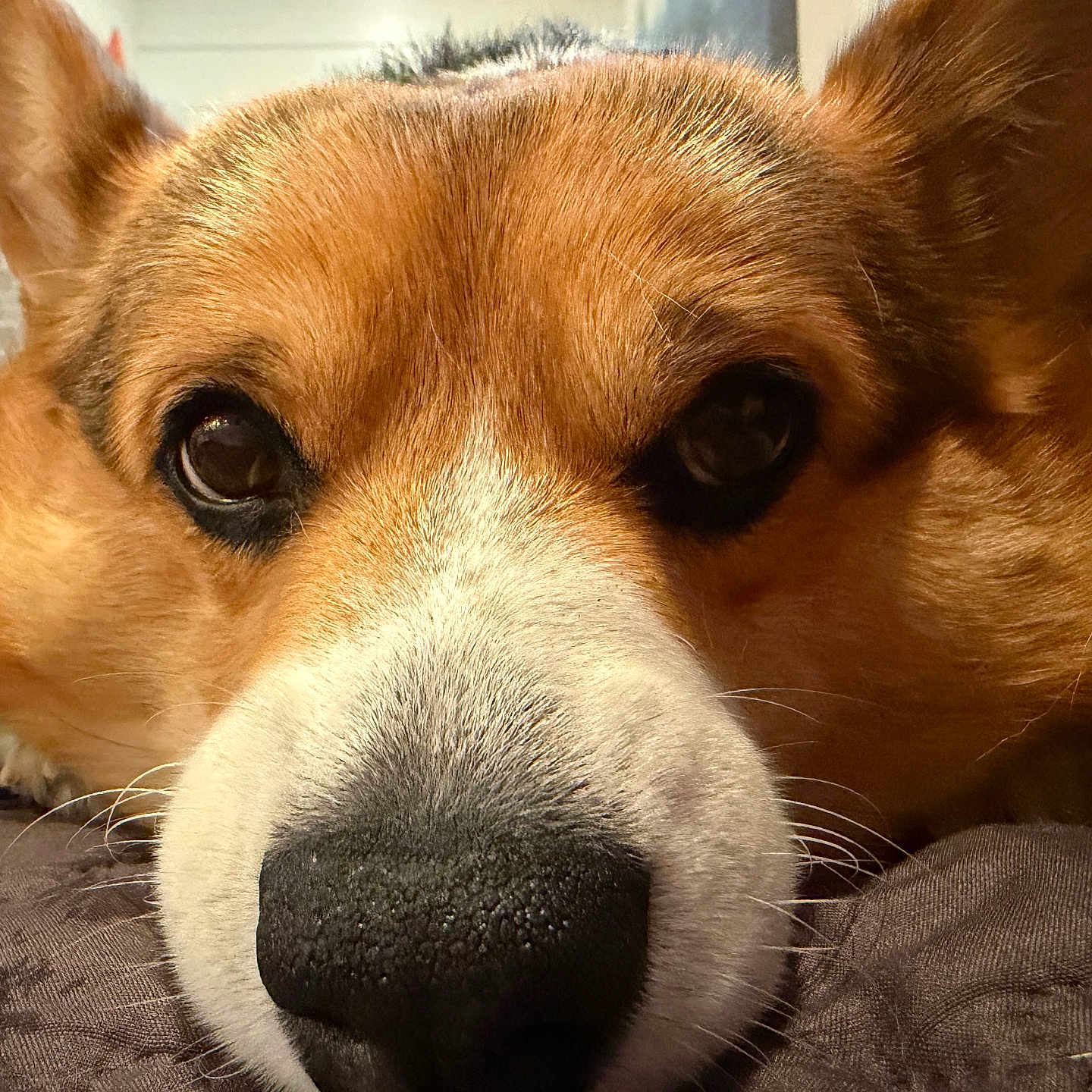 Maggie Mae