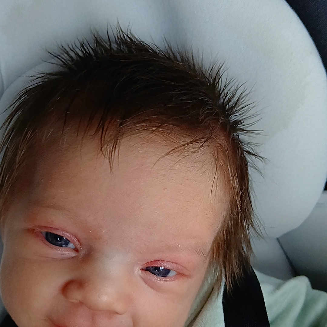 Dixie is registered to the contest to win money with this photo: baby, car_seat, child, closeup, clothing, cushion, cute, eyes, face, hair, happy, headrest, indoors, infant, person, seatbelt, sitting, skin, smile, young